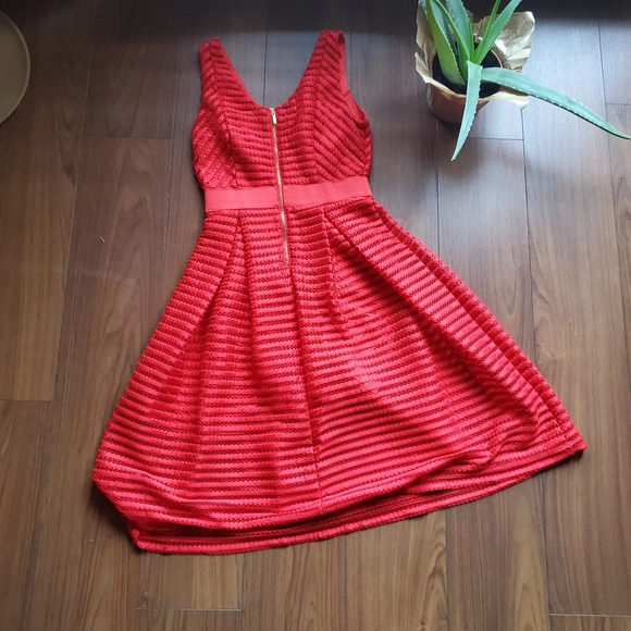 New York and Co Eyelet Orange Spring Dress Size 8 - Picture 8 of 9